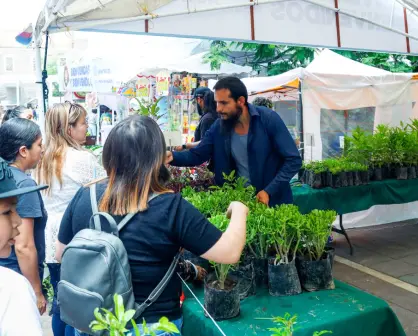 Regalan plantas en Aguascalientes por el quincenario de la Virgen de la Asunción; lugar y horario