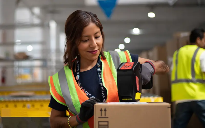 Baja California Sur se posiciona en top nacional de empleos formales BCS es un caso de éxito en materia económica. Foto: Amazon