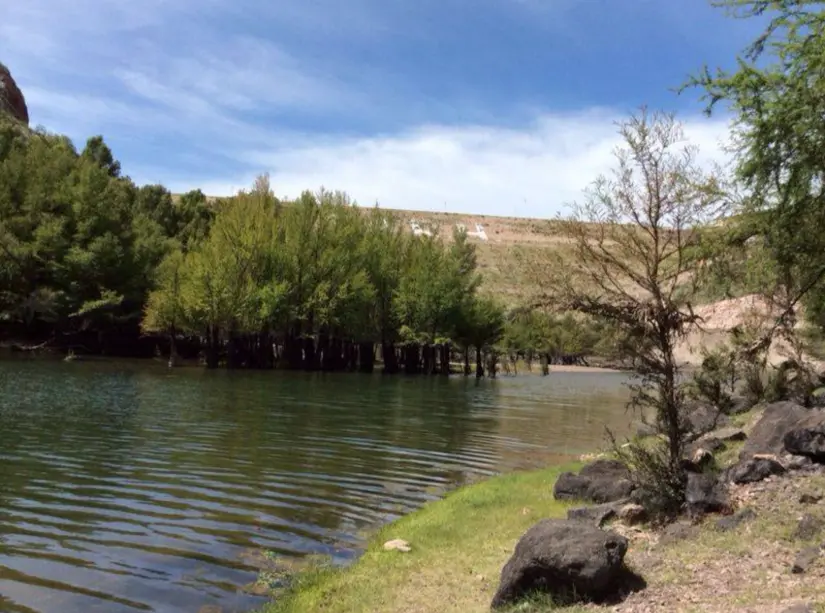 Disfruta de la naturaleza y la brisa fresca de la presa en Coahuila. Foto: cortesía Disfruta de la naturaleza y la brisa fresca de la presa en Coahuila. Foto: cortesía.