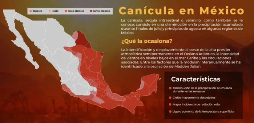 La canícula en México. Foto: cortesía La canícula en México. Foto: cortesía.