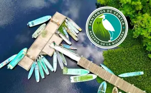 Maravíllate recorriendo los Pantanos de Centla en Tabasco que fueron declarados Reserva de la Biosfera