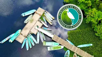 Maravíllate recorriendo los Pantanos de Centla en Tabasco que fueron declarados Reserva de la Biosfera