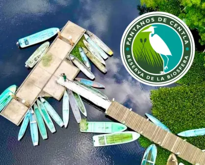 Maravíllate recorriendo los Pantanos de Centla en Tabasco que fueron declarados Reserva de la Biosfera