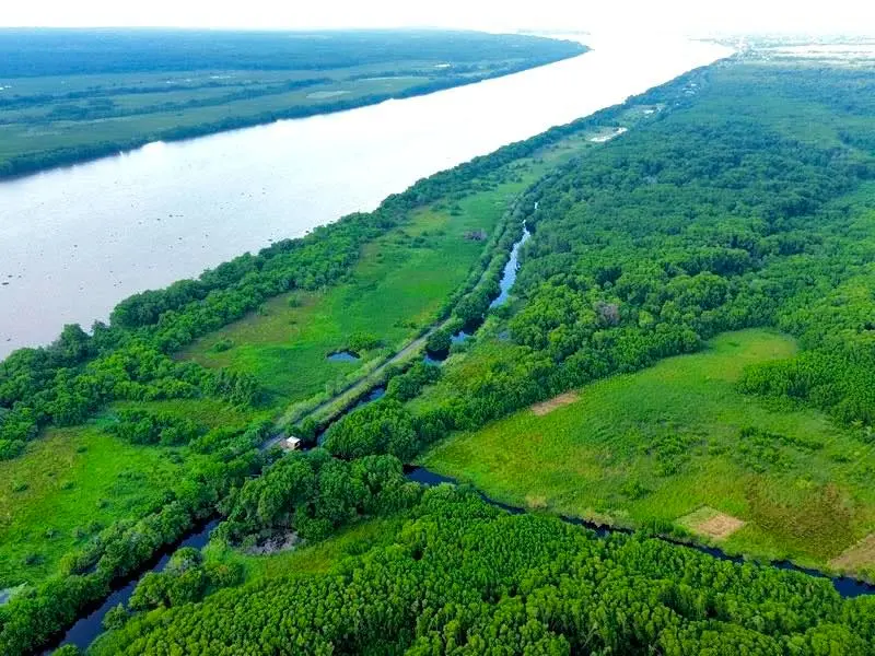 Navega por los Pantanos de Centla en Tabasco. Foto: Cortesía. Navega por los Pantanos de Centla en Tabasco. Foto: Cortesía.