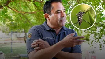 Jóvenes investigadores de la UAS crean modelos para detectar dengue y otras virosis