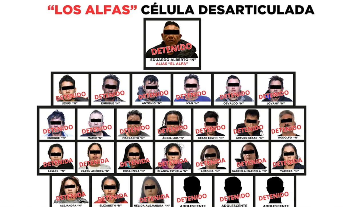 Las autoridades federales informaron que se desarticuló a la banda Los Alfas. Foto: Seguridad