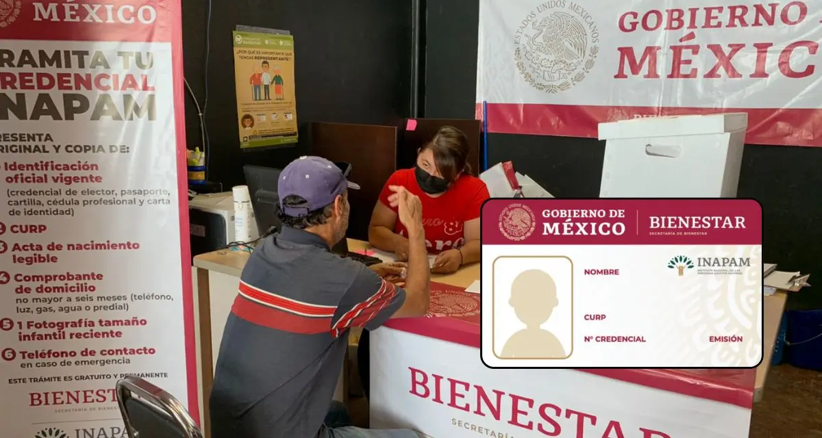 Conoce los requisitos para tramitar la Tarjeta INAPAM. Foto: cortesía