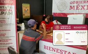 ¿Dónde tramitar la Tarjeta INAPAM para el apoyo económico en Yucatán?