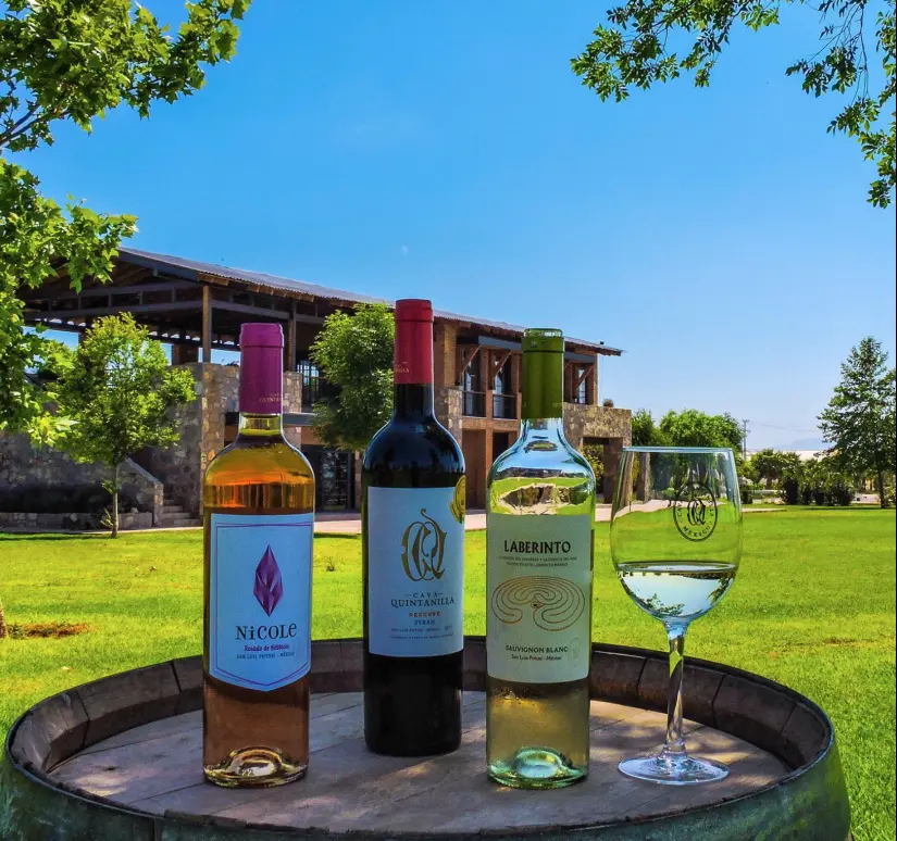 Vinos de Cava Quintanilla en San Luis Potosí. Foto: Facebook Cava Quintanilla.