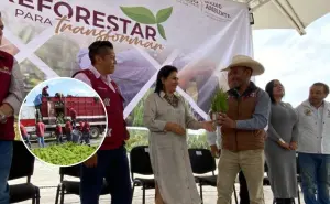 Hidalgo avanza en verde: Entrega más de 377 mil plantas para reforestar mil hectáreas