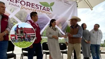 Hidalgo avanza en verde: Entrega más de 377 mil plantas para reforestar mil hectáreas