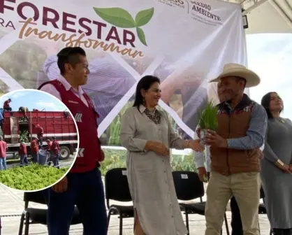 Hidalgo avanza en verde: Entrega más de 377 mil plantas para reforestar mil hectáreas