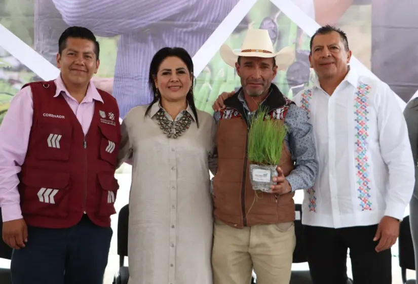 Programa de reforestación de mil hectáreas en Hidalgo. Foto: cortesía Programa de reforestación de mil hectáreas en Hidalgo. Foto: Cortesía.
