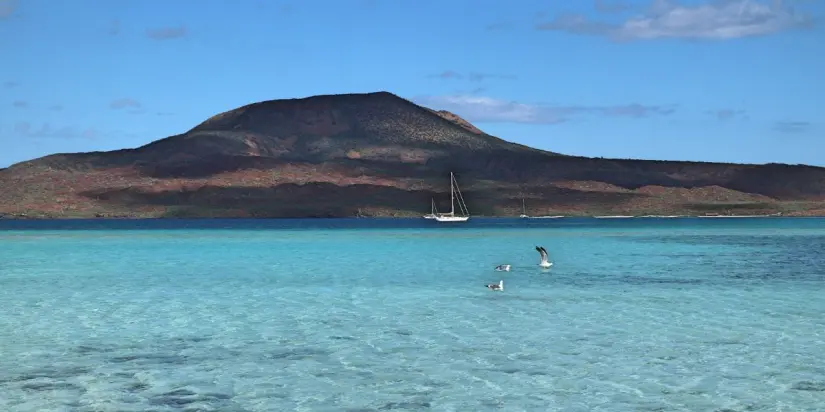 Conoce todo lo que puedes hacer en Islas Coronado. Foto: Hotel Santa Fe Loreto.