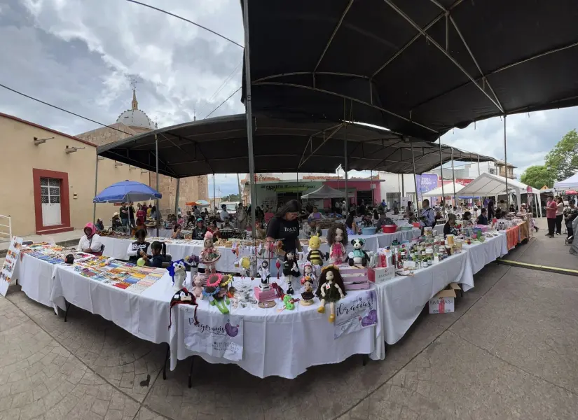 Qué son las Caravanas de Empoderamiento de Zacatecas. Foto: Cortesía