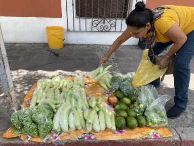 Nos sacó la violencia, nos sostiene la tierra”, así sobreviven las mujeres desplazadas en San Ignacio