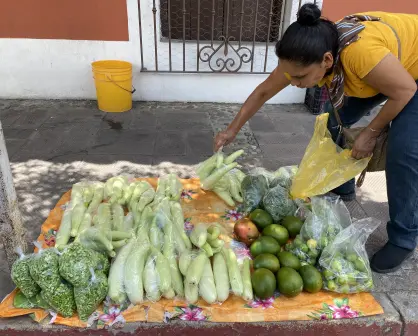 Nos sacó la violencia, nos sostiene la tierra", así sobreviven las mujeres desplazadas en San Ignacio