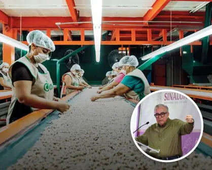Garbanzo sinaloense conquista mercados de Arabia Saudita y Turquía con ventas históricas en Gulfood Dubai 2025