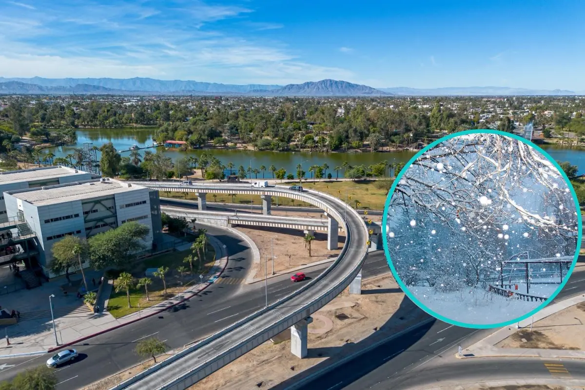 La nieve vistió de blanco a Mexicali aquel histórico día.