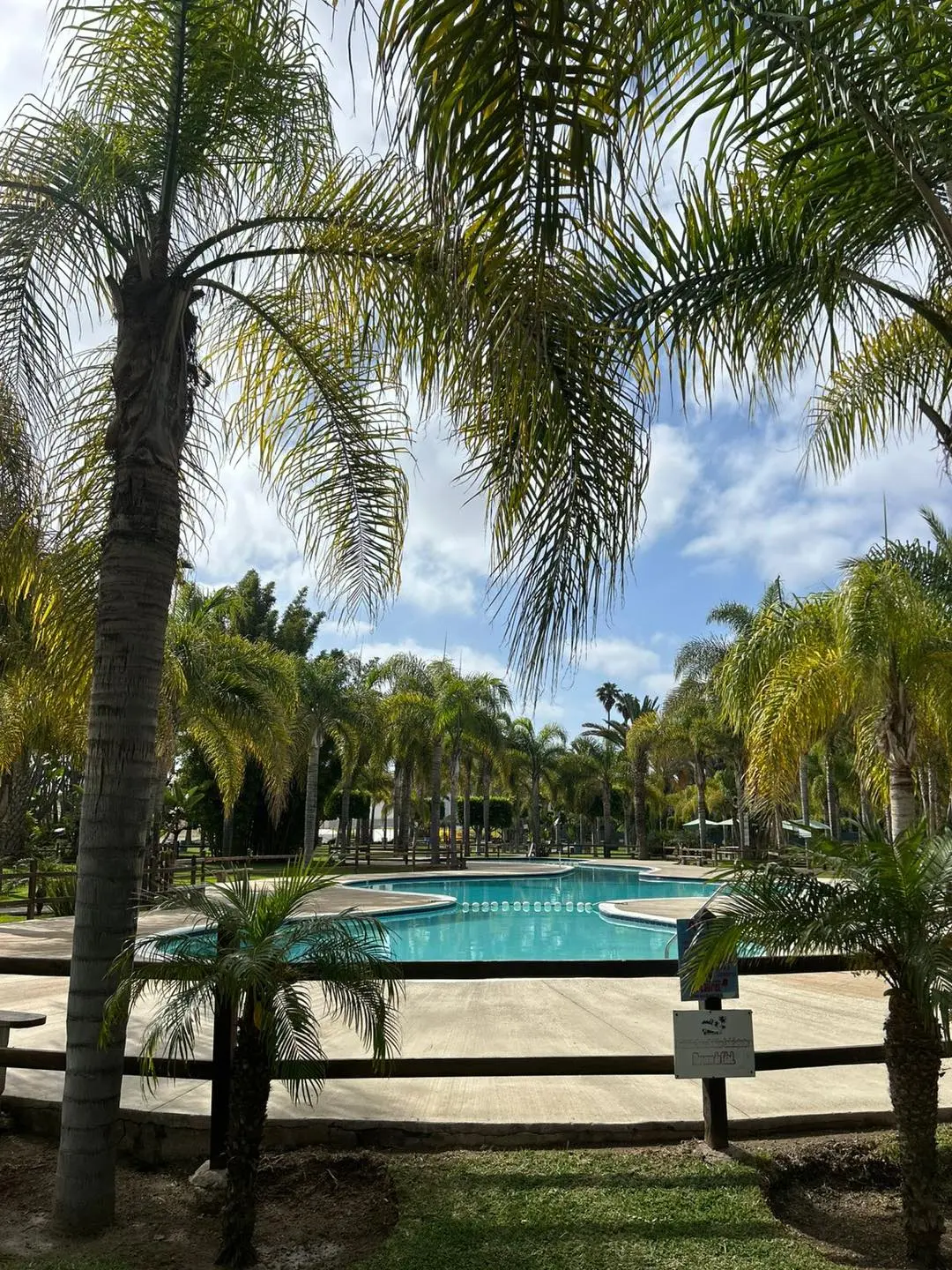Relájate en las aguas del Balneario El Laurel. Foto: Cortesía. 