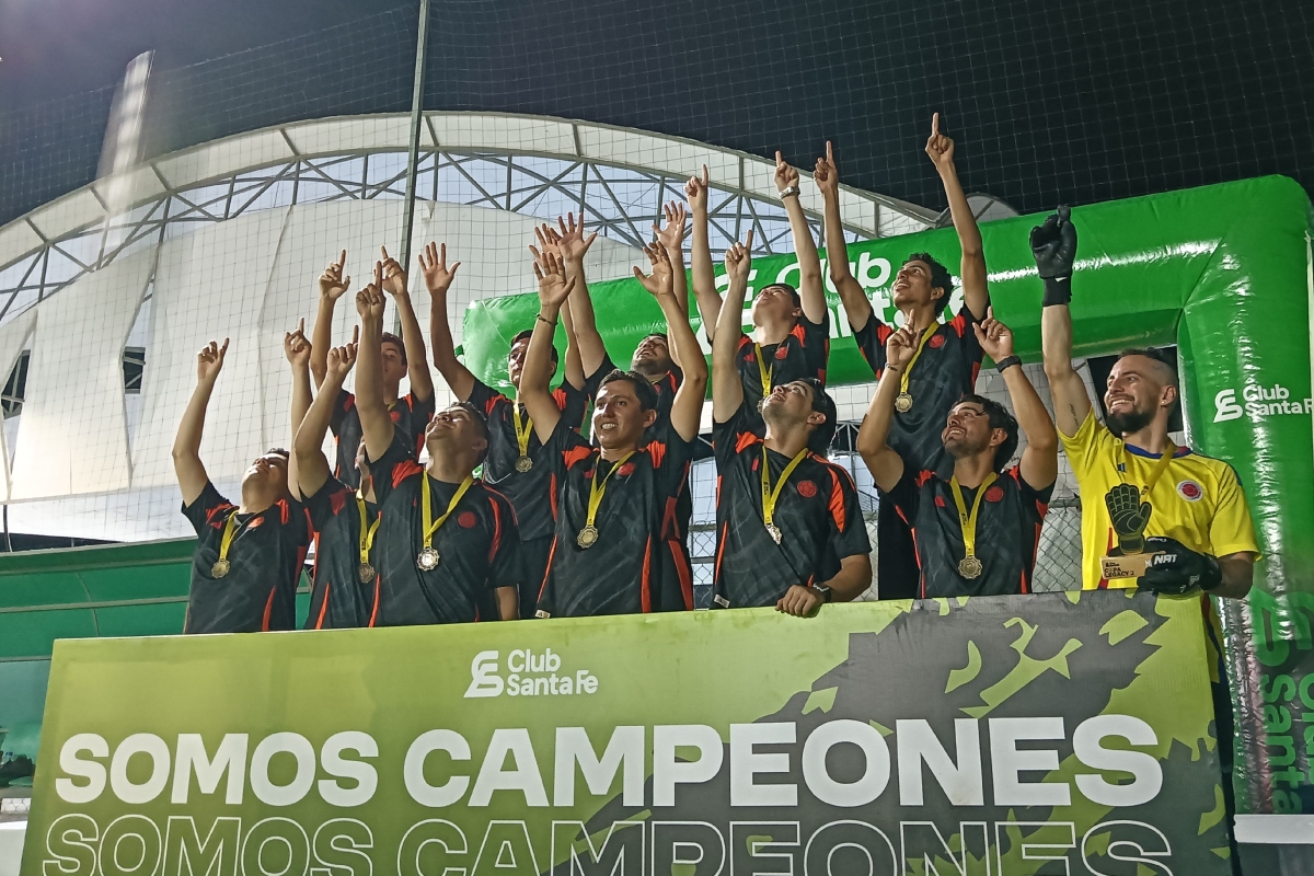 Imagen 2