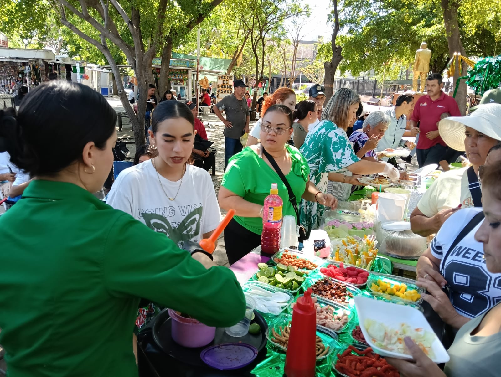 Imagen 1