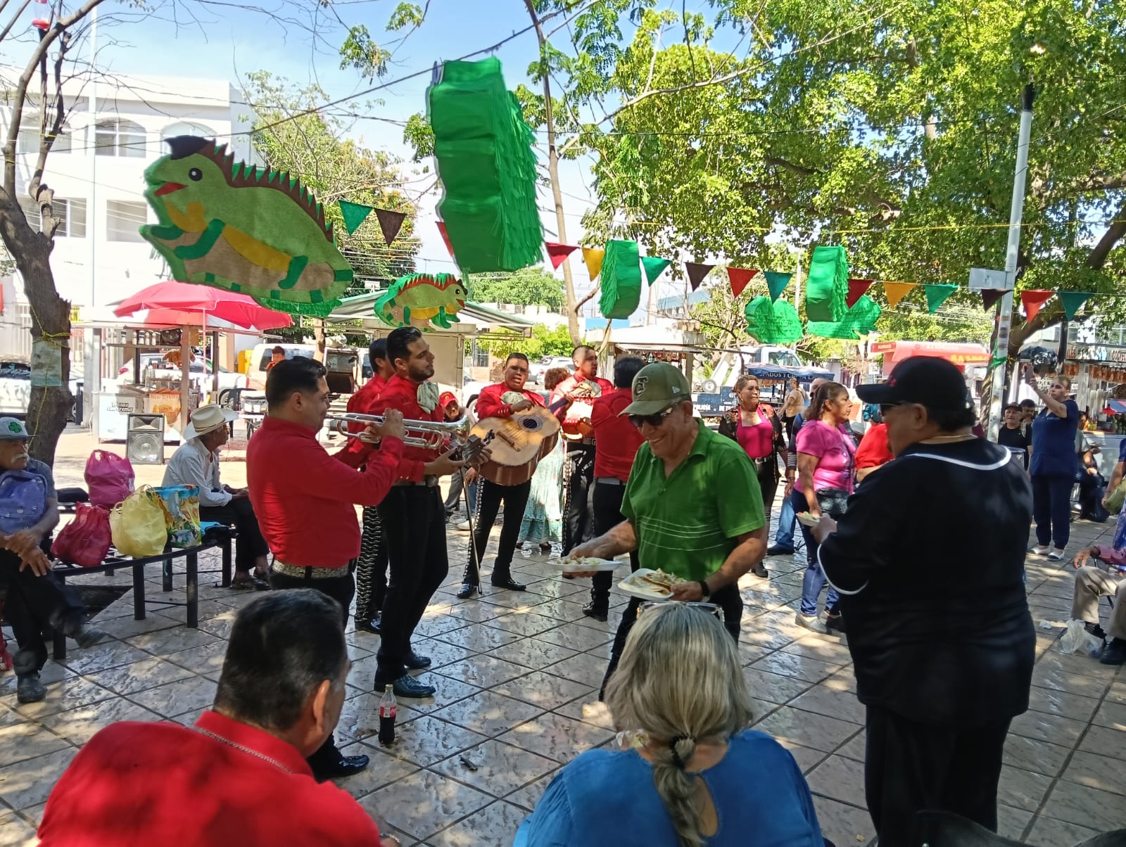 Imagen 6