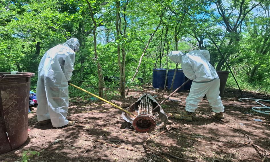 Sinaloa bajo operativos: incautan drogas, armas y desmantelan laboratorios durante la última semana