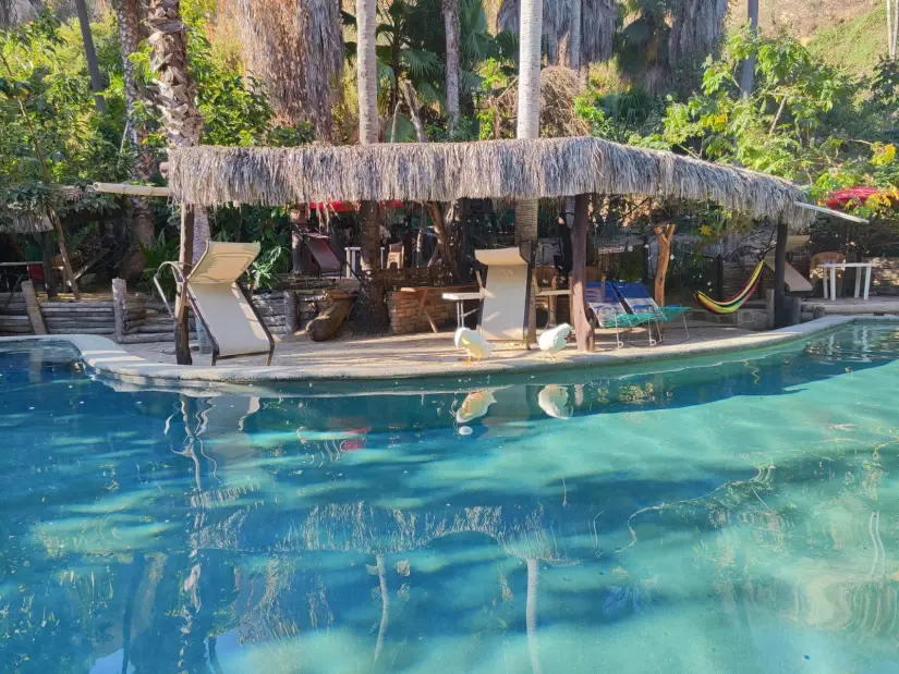 Conoce Huerta del Ojo de Agua Oasis en La Paz, Baja California Sur. Foto: Cortesía.