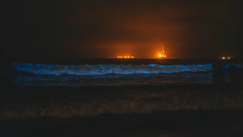 La mejor temporada para presenciar la bioluminiscencia es desde abril hasta diciembre. Foto: Unsplash.  