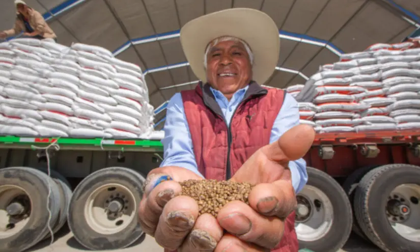 El programa Fertilizante para el Bienestar beneficiará a 52,400 productoras y productores. Foto: cortesía El programa Fertilizante para el Bienestar beneficiará a 52,400 productoras y productores. Foto: Cortesía.