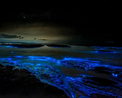Playas con bioluminiscencia en Baja California Sur; ¿cuál es la mejor fecha para visitarlas?