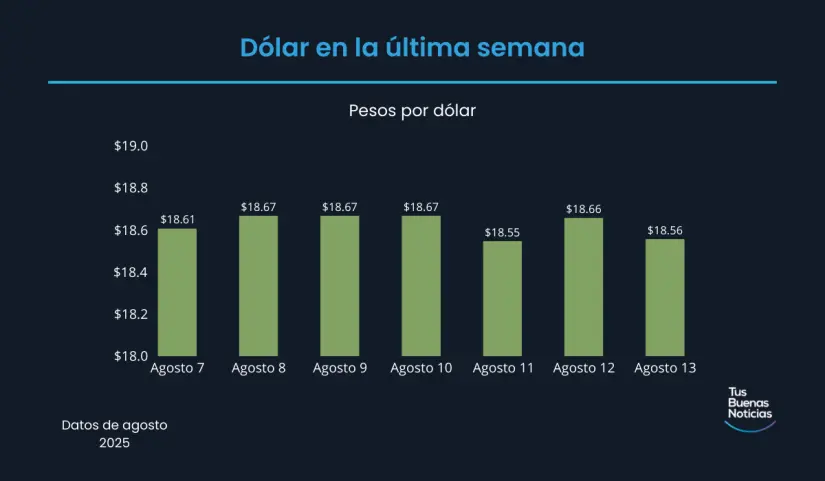 Precio del dólar hoy 13 de agosto de 2025 Precio del dólar en la última semana de acuerdo al DOF. Foto: TBN