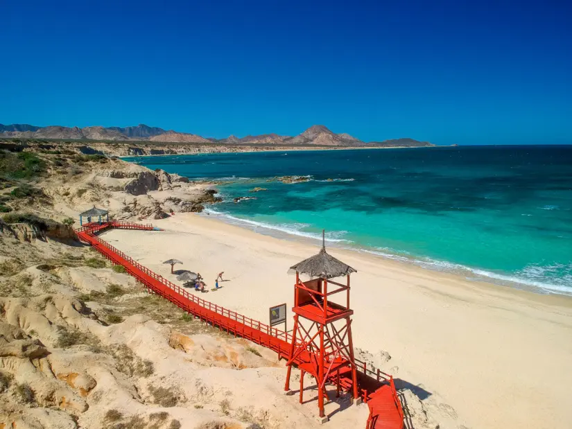 Visitar el Parque de Cabo Pulmo y disfruta de la naturaleza. Foto: Los Cabos. 