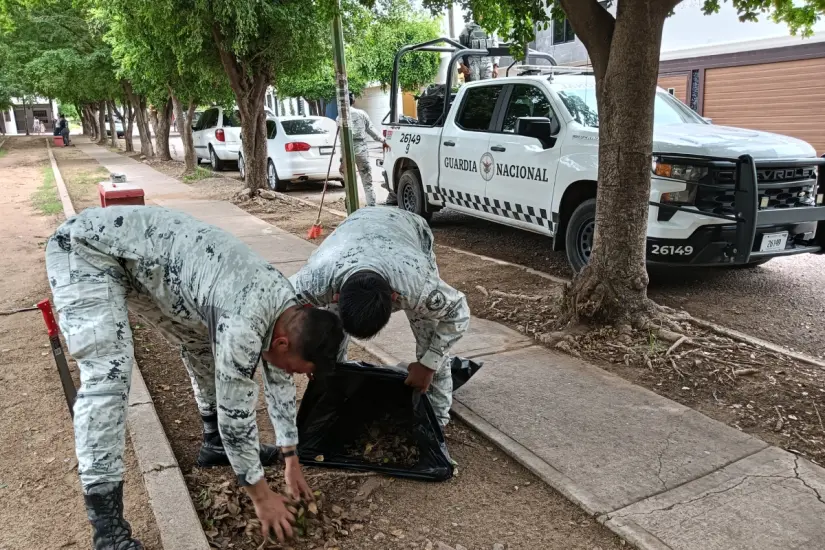 Personal de la Guardia Nacional también realizó trabajos de embellecimiento de áreas verdes en Los Ángeles, acciones que ayudan a mejorar el entorno.