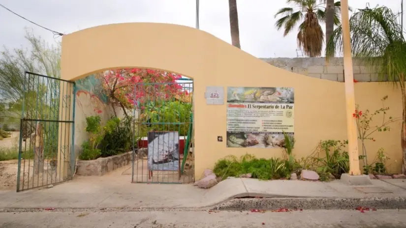 El Serpentario de La Paz es ideal para conocer acerca de especies endémicas. Foto: Cortesía. 