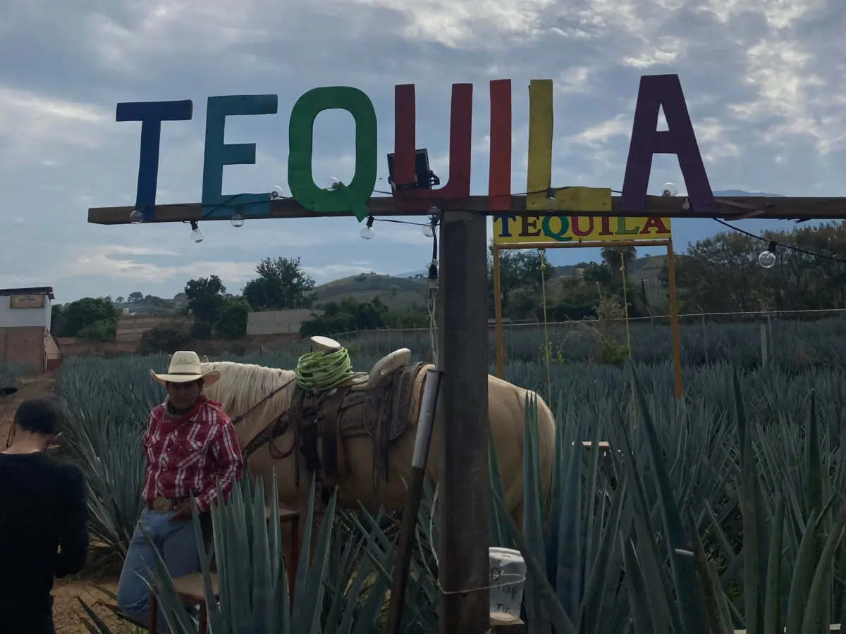 Tequila, Pueblo Mágico de Jalisco, es un lugar que combina historia, tradición y paisajes únicos. | Imágenes de Jared Alberto González Quintero