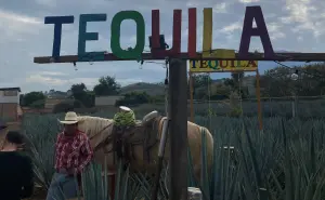 Descubre Tequila, Pueblo Mágico: el alma cultural de México.