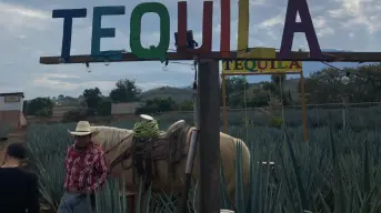 Descubre Tequila, Pueblo Mágico: el alma cultural de México.