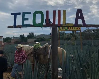 Descubre Tequila, Pueblo Mágico: el alma cultural de México.
