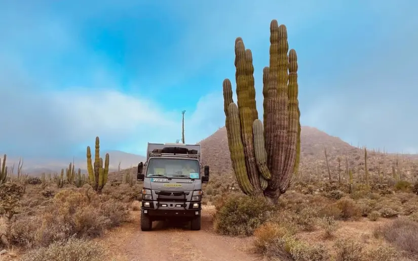 Estas son algunas de las actividades que puedes realizar en el Valle de los Cirios. Foto: México Ruta Mágica. 