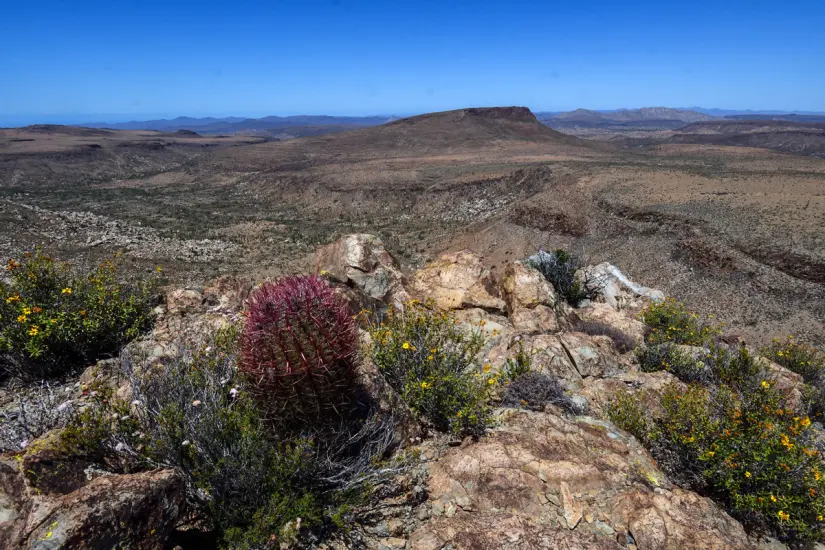 El Valle de los Cirios es un área protegida con gran extensión. Foto: Cortesía. 