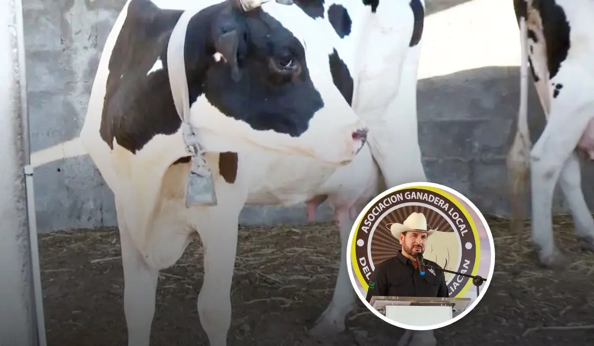UGRS busca mejorar el precio de la leche en Sinaloa para apoyar a los ganaderos