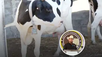 UGRS busca mejorar el precio de la leche en Sinaloa para apoyar a los ganaderos