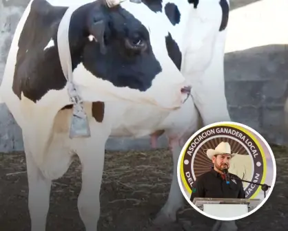 UGRS busca mejorar el precio de la leche en Sinaloa para apoyar a los ganaderos