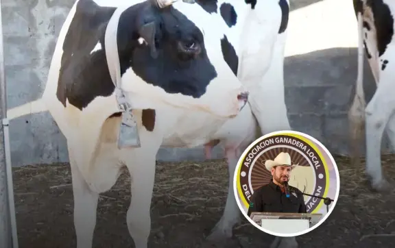 UGRS busca mejorar el precio de la leche en Sinaloa para apoyar a los ganaderos