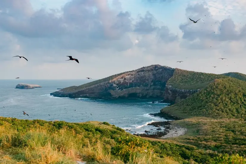 Visita Isla Isabel y disfruta de la naturaleza en su máximo esplendor. Foto: Visit Nayarit.