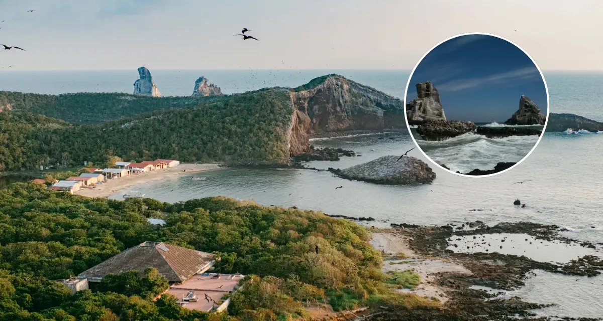 Estos son todos los detalles acerca de Isla Isabel en Nayarit. Foto: Visit Nayarit.