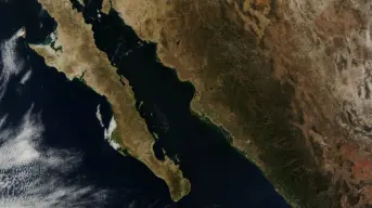 ¿La Península de Baja California se separa de México? Esto dice la UNAM