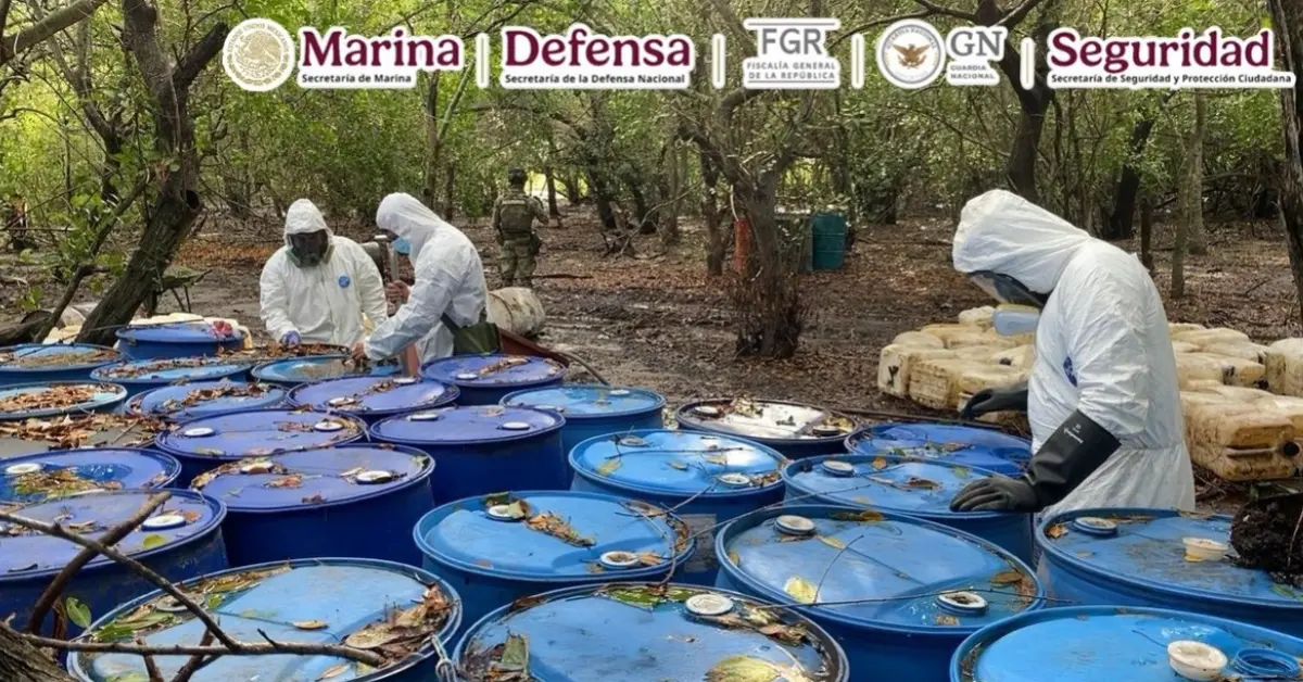 Decomiso histórico en Nayarit: aseguran 12.8 toneladas de metanfetamina en narcolaboratorio
